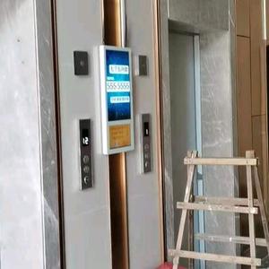 牛力传媒-仙人掌网络头像