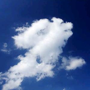 蓝色畅想 河南头像