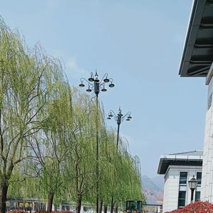 佛得角🇨🇻🇨🇻头像