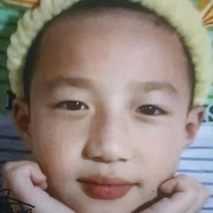 一条龙装房头像