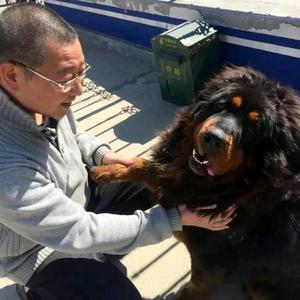 打棒球的农民老燕头像