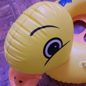 爆笑动物世界头像