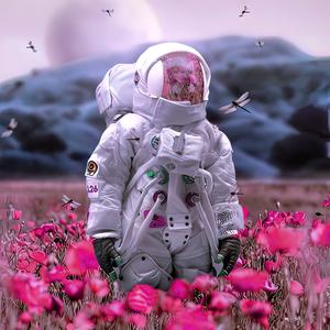 暴躁的杰瑞米头像