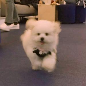 旺仔牛奶奶🍒头像