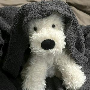 小小玩玩玩🍉头像