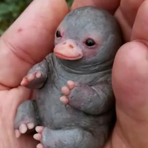 边角料开箱头像