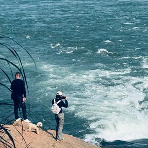 小游的川西日记头像