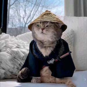 陆浩重生记 头像