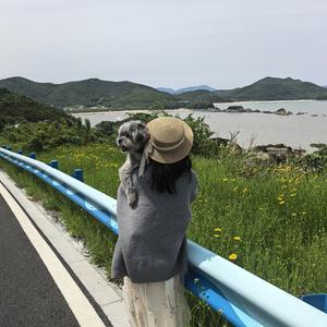 风屿禾创始人赵小姐头像