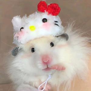 云朵鸭☁️头像