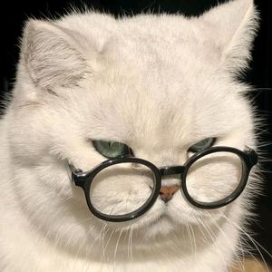 走路分不清方向女士🦄头像