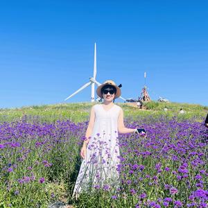 小贾呀🏠（软装中）头像