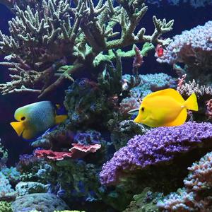 法号～闭嘴头像