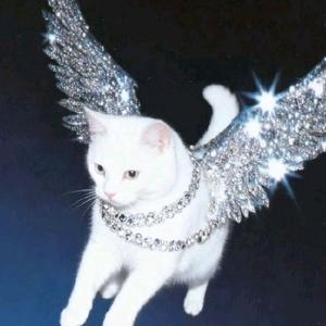 只只奶黄包头像