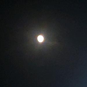 轩辕语录头像