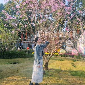 小萍服装（批发价）头像