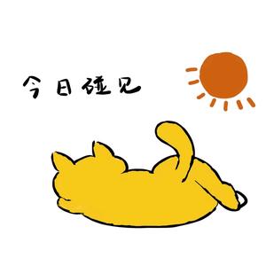 今日碰见头像
