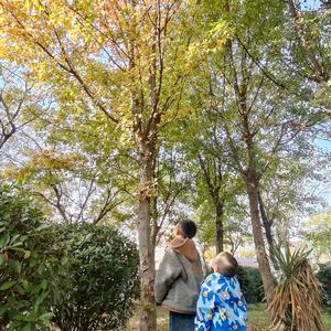 晶晶居家运动头像