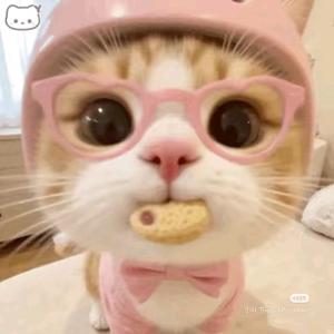 爱吃鱼星草头像