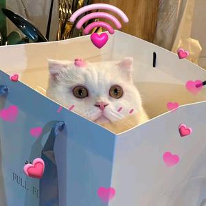 诺诺捏捏乐吧头像