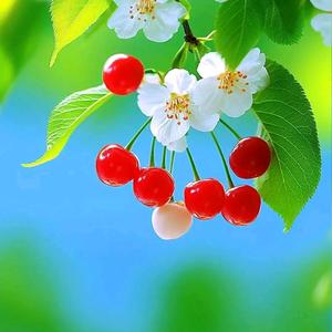 好运姥姥❤头像