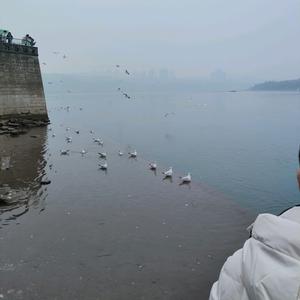 温柔不是姐的范儿头像