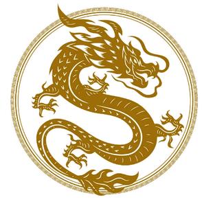 金龙贸易头像