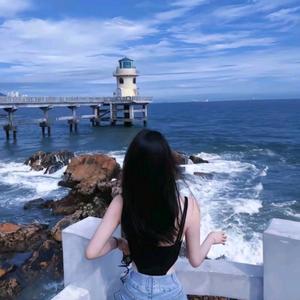 我是勤洋洋头像