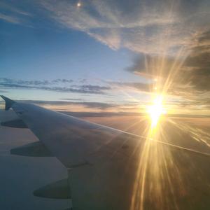 美丽毕兹卡头像