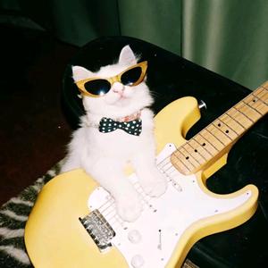 苹果和奶枣头像