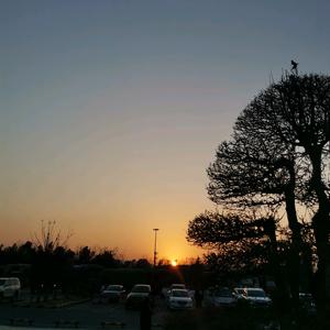 灵活的胖胖头像