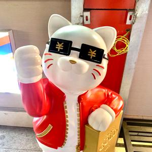 猫有九命唯有一心丶头像