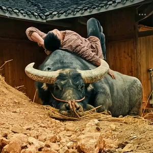 (ง •̀_•́)ง阿贵√头像