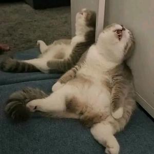 嗨喽~头像
