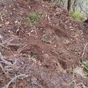 荒野志鹏（榕江荒野求生167号选手）头像