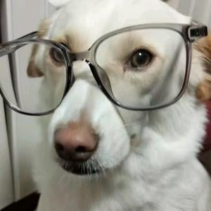 小黄爱吃牛肉头像