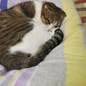 用户131574779头像