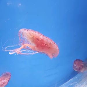 牵手都握紧头像