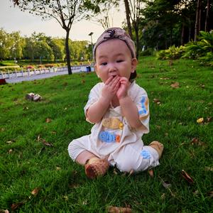 小海豚涨粉（不连赞）头像