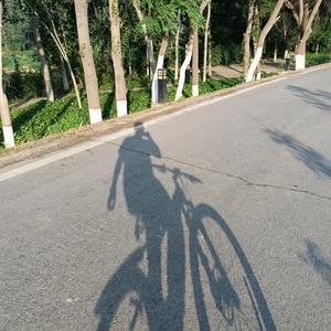 一直零零后头像