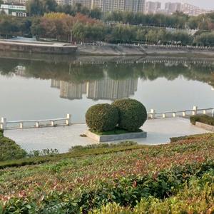 遛弯刚回来头像