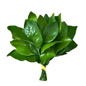 幸福美满☺️头像