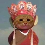 小猪饲养日记（置顶有贴贴🎁）头像