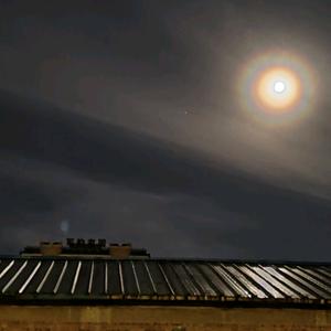 拥你入我怀头像