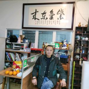 马紫气东来头像