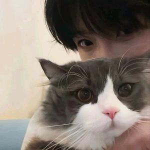 神不在汤阴头像