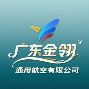 广东金翎航空---林远志头像