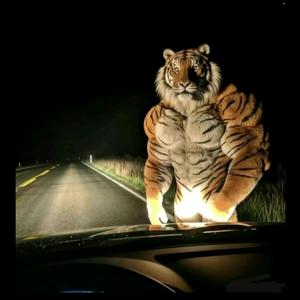 夜染~繁华处头像