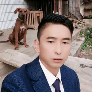 忘记一切，自由快乐头像