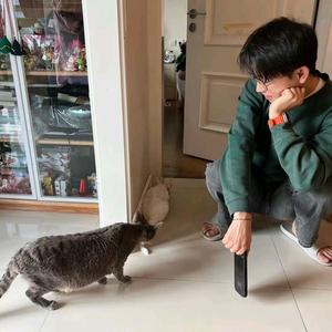 杨棉出在杨身上头像